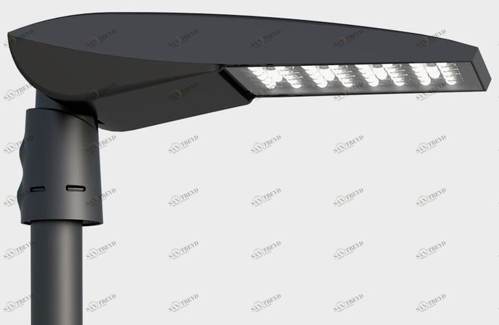 Cariboni group Kai sun-id-1388474