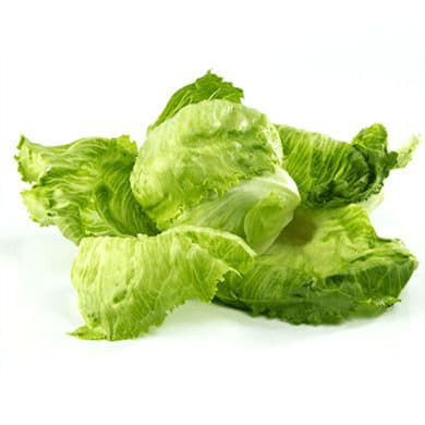 Салат Айсберг Santreyd 1889