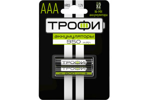 16133260 Аккумуляторная батарея HR032BL 950 mAh C0032097 ТРОФИ