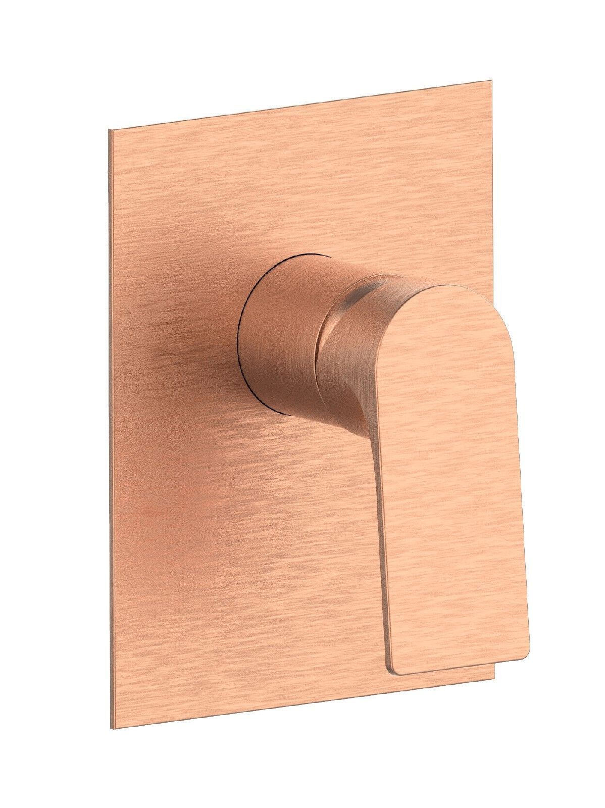 Однорычажный встраиваемый смеситель для душа с пластиной Rubinetterie Frattini отдельная эстетика ARCH-00023373 - Вид №3