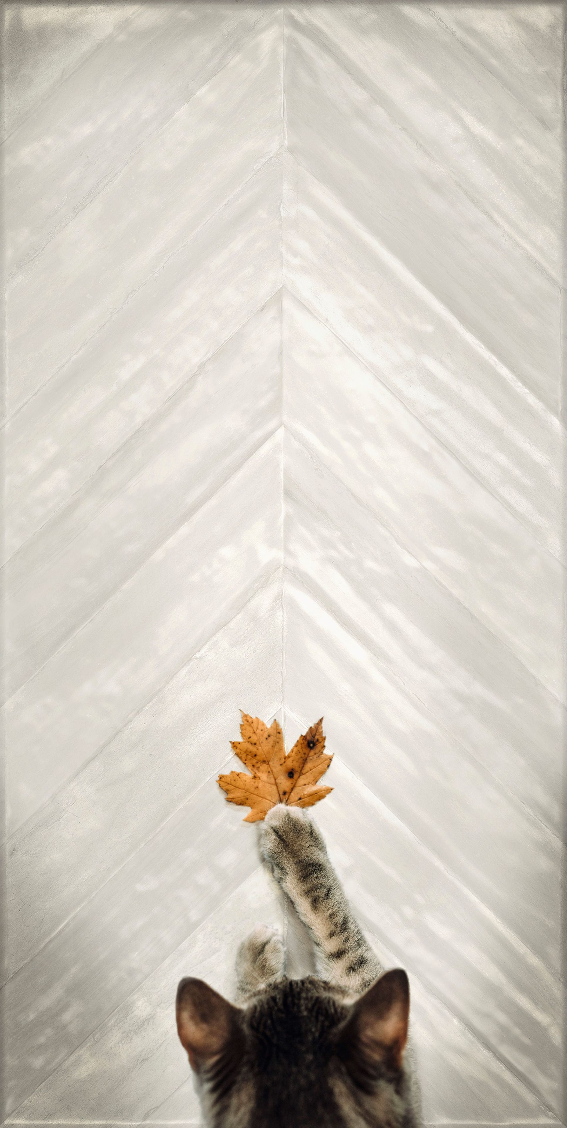 Напольное / керамогранит с терракотовым эффектом IRIS Ceramica I-Wall ARCH-00034759 - Вид №2