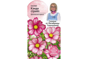 19489872 Семена Космея Кэнди страйп 0.3 г 119342 ОКТЯБРИНА ГАНИЧКИНА
