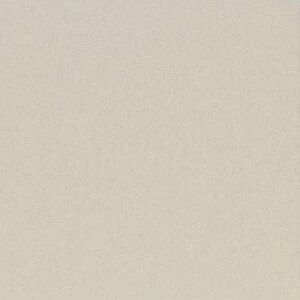 Керамогранит Standard ST 17 60x60 Неполированный