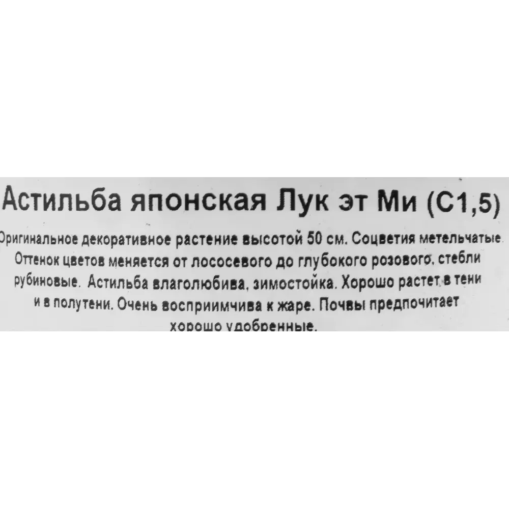 Астильба японская «Лук эт Ми» 15x20 см 82585325 STLM-2005544 Santreyd  - Вид №2