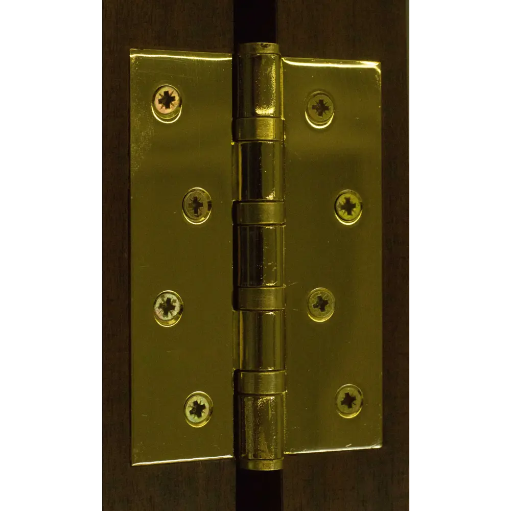 Петля универсальная Fuaro 4BB/А 100x75x2.5 мм сталь цвет матовый хром STLM-2141028 - Вид №2