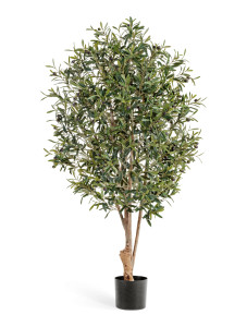 10.28204N Олива Твист с плодами Цветочная коллекция