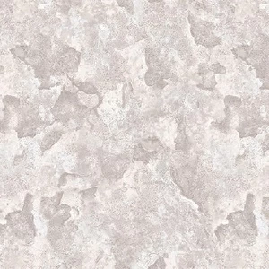 60027-02 Обои Erismann Millennium