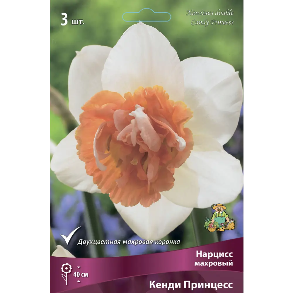 ПОИСК Нарцисс Кенди Принцесс - махровые луковицы для весеннего сада 89381226 STLM-1581000