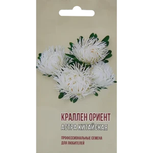 Астра китайская Краллен Ориент 83601686 STLM-2046652