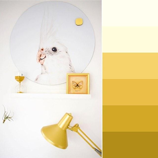 Groovy Magnets Клейкий мотив украшения Animal sun-id-1380895 - Вид №3