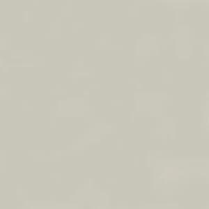 SERENA  60х60 GREY 441 POLISHED