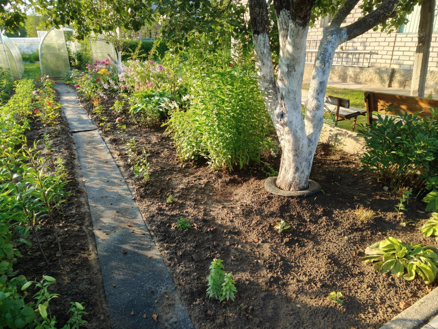 100.3.3AG.Bc Садовая дорожка резиновая Alegria garden  - Вид №1