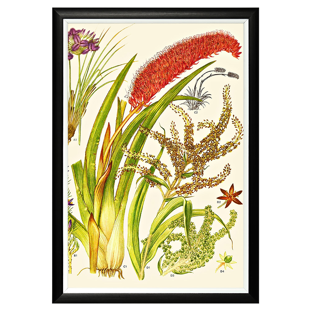 896519655_1818 Арт-постер «Цветочная энциклопедия, глава 8» Object Desire 