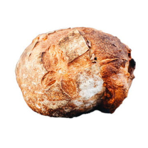 Тартин с пармезаном Sasha Bread
