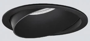 ONOK Lighting Регулируемый точечный светильник для подвесных потолков Ringo