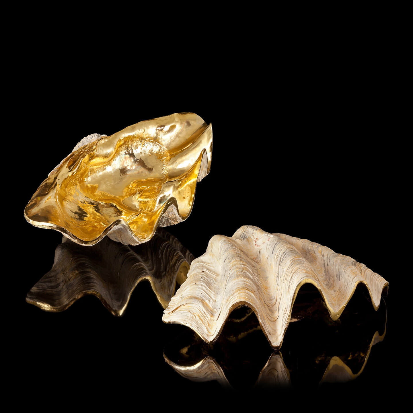 200579,01 ABHIKA CONCHIGLIA TRIDACNE RESI GOLD 200579.01