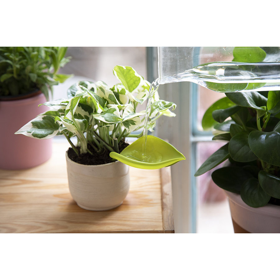 PE465 Воронка для полива растений peleg, leaflow Peleg Design  - Вид №2