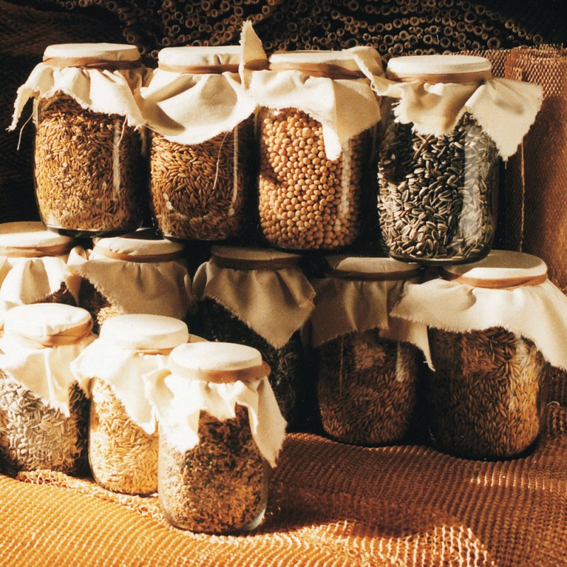 B01X26 Набор из 6 бутылок вина Adriani e Rossi Один вариант 