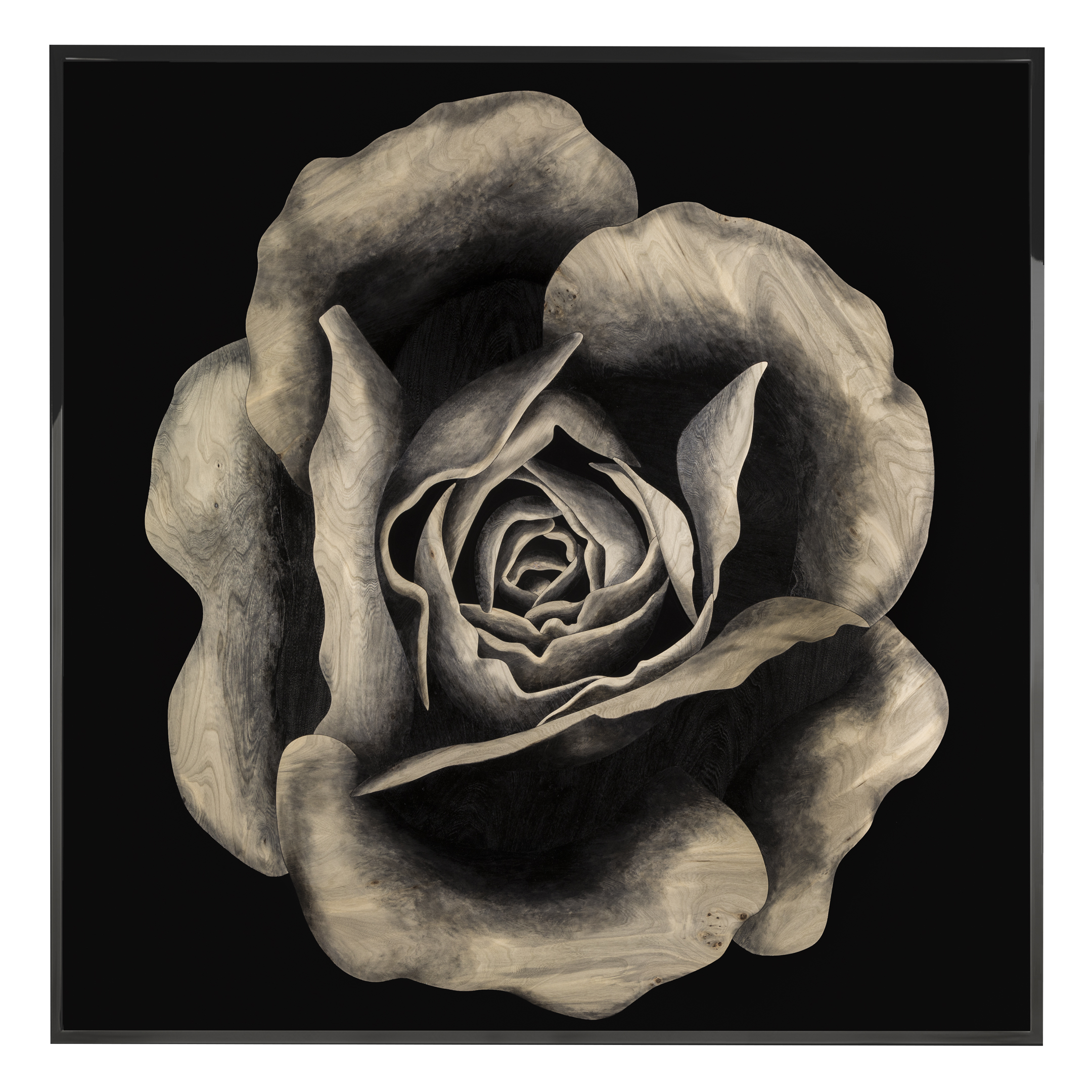 Rosa Fossile Произведение искусства из ископаемого дерева Visionnaire  - Вид №1