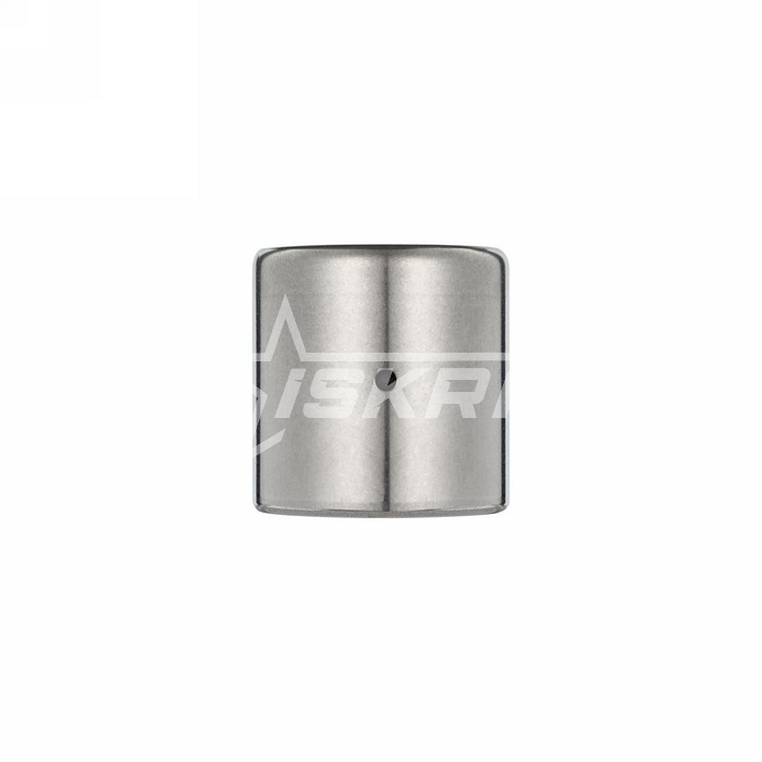 IS1663 Подшипник HK3018RS ISKRA  - Вид №3