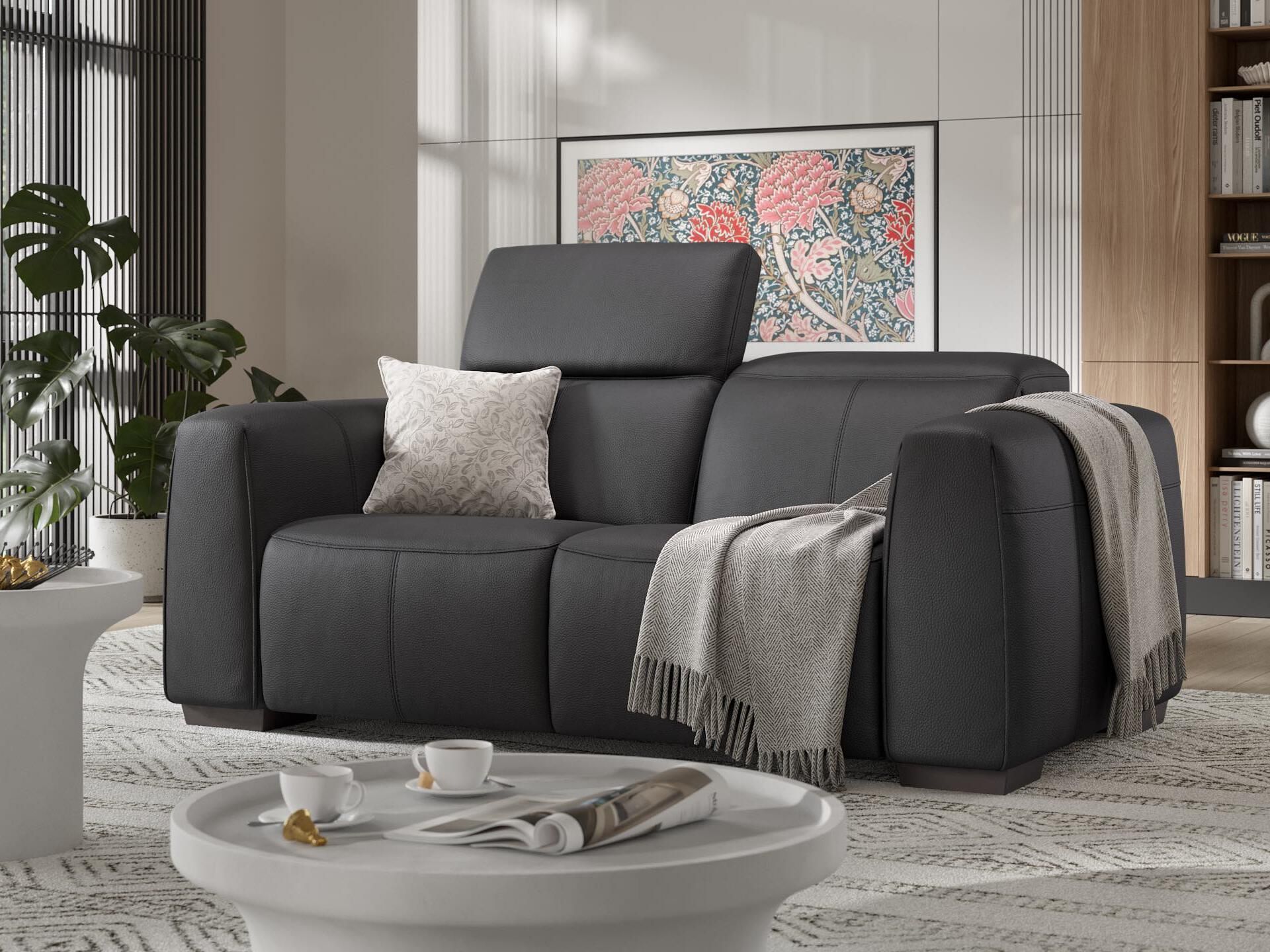 2-местный кожаный диван Sofanella тысячный ARCH-00020360 - Вид №1