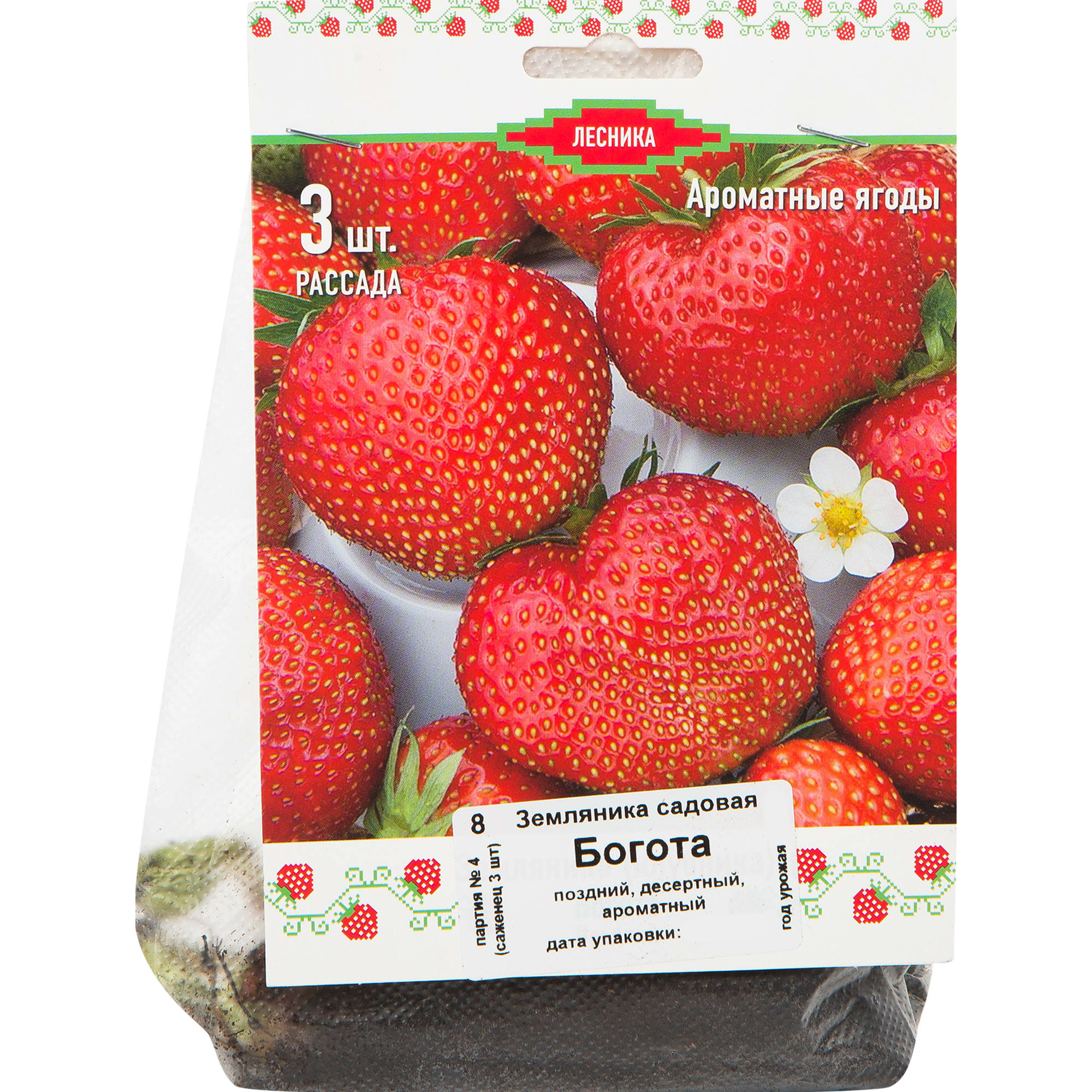 82528934 Земляника традиционная поздняя 3 шт Santreyd 