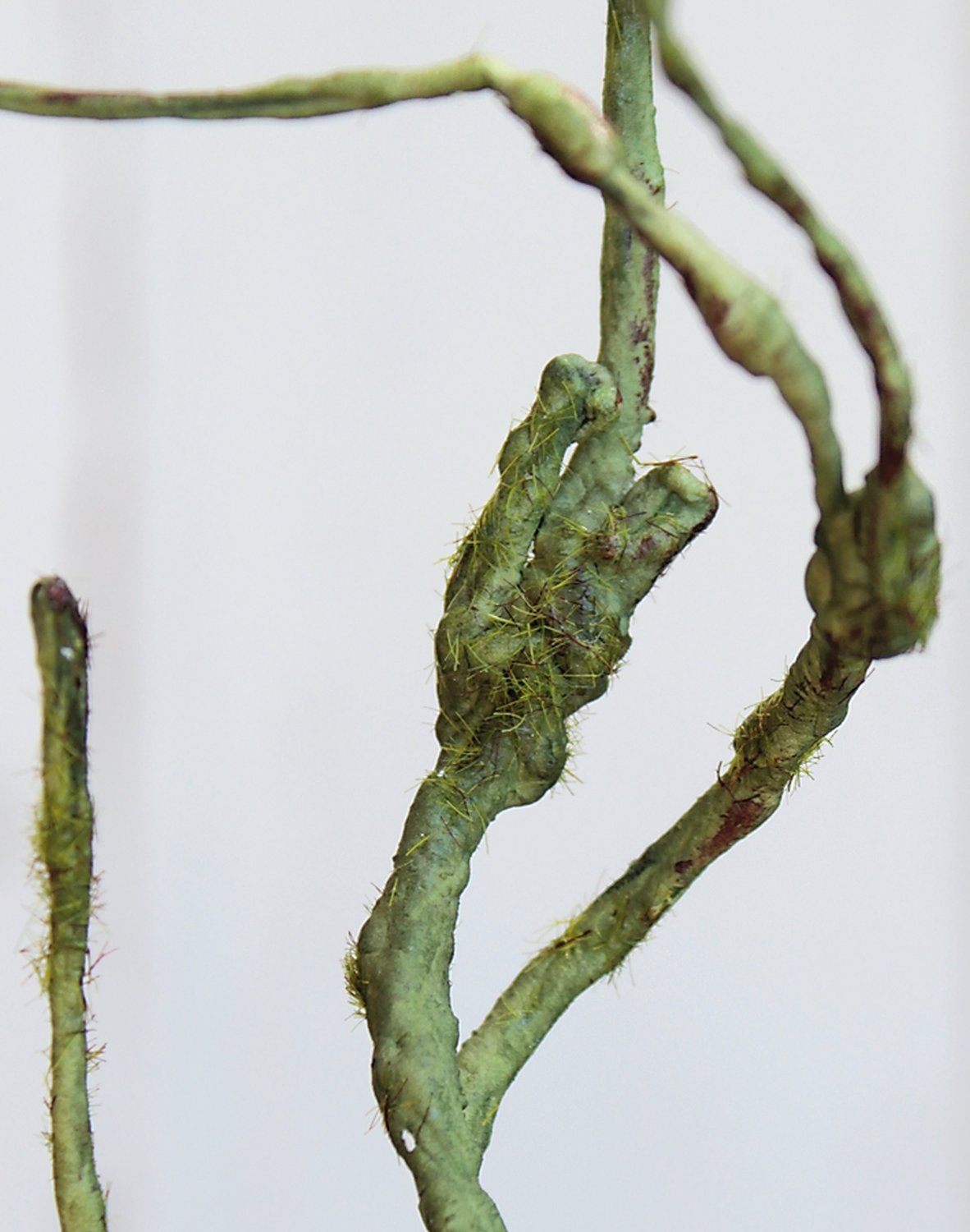 3398 883 a3 Веточка декоративная искусственная 'curly', 76 см, зеленая H-andreas  - Вид №2