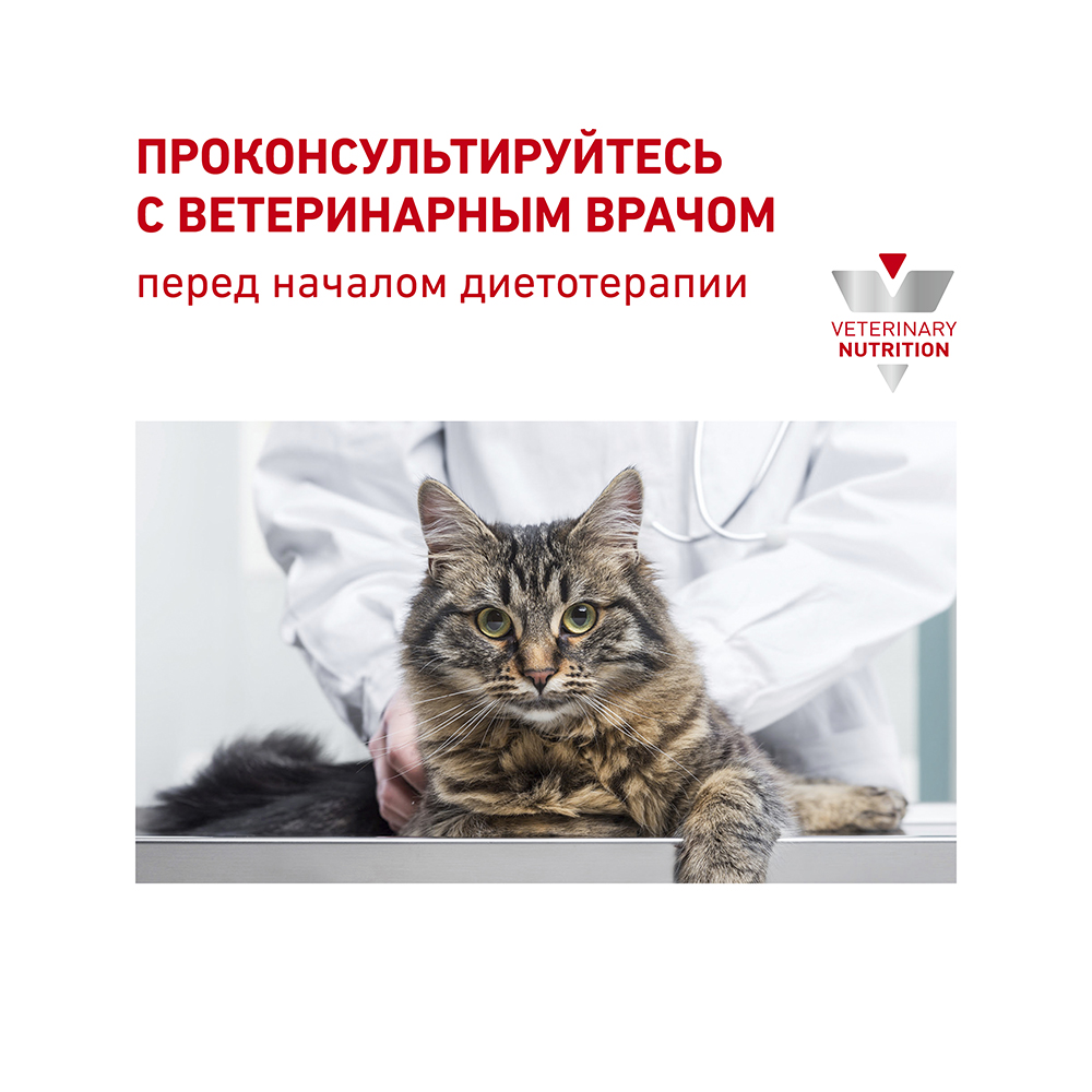 ПР0053549 Корм для кошек Vet Diet Renal при почечной недостаточности, говядина пауч 85г ROYAL CANIN  - Вид №7