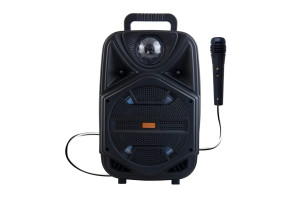 16949941 Колонка с Bluetooth Magic Acoustic Bravo, черный, TF, USB, FM, MIC BK1002 Belsis