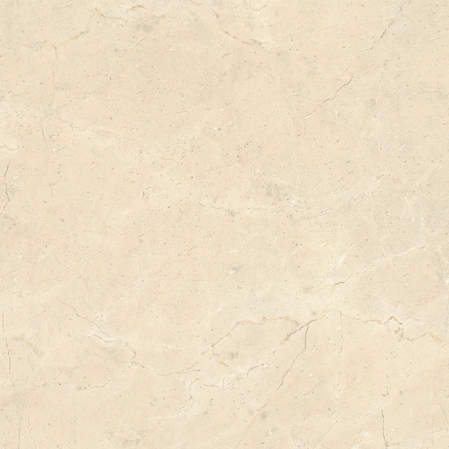 Пол / облицовка керамогранита с эффектом камня Italgraniti Calcis ARCH-00068879 - Вид №19