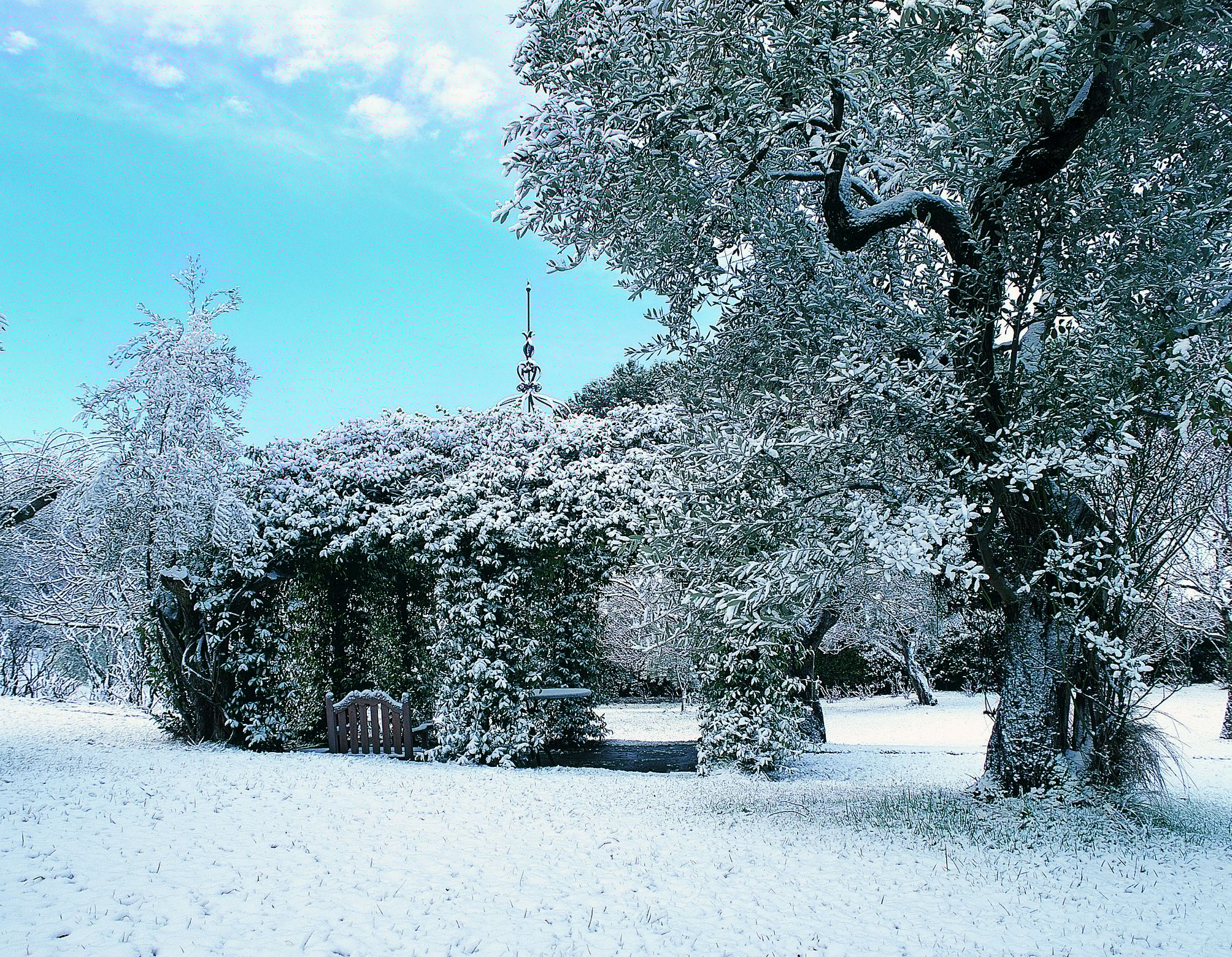 Железная беседка Unopiù Тибиско ARCH-00026769 - Вид №2