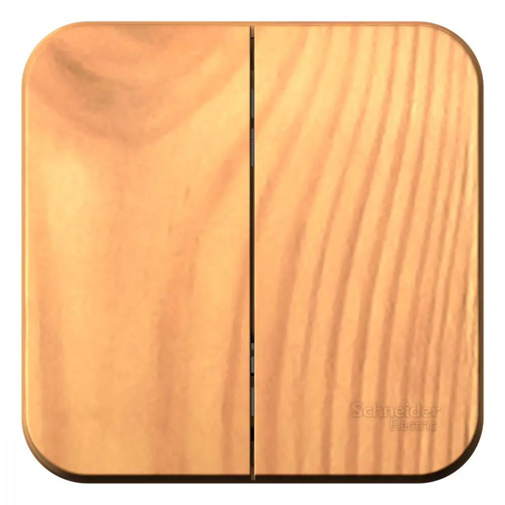 Выключатель накладной Schneider Electric Blanca 10 Ас 2 клавиши цвет ясень SYSTEME ELECTRIC STLM-2000632