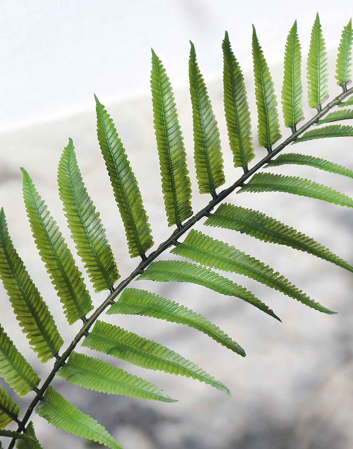 4916 883 a3 Стебель искусственного папоротника, 74 см, зеленый H-andreas  - Вид №5