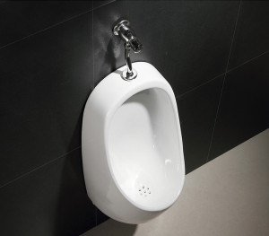 X541P Писсуар подвесной LAB.Space