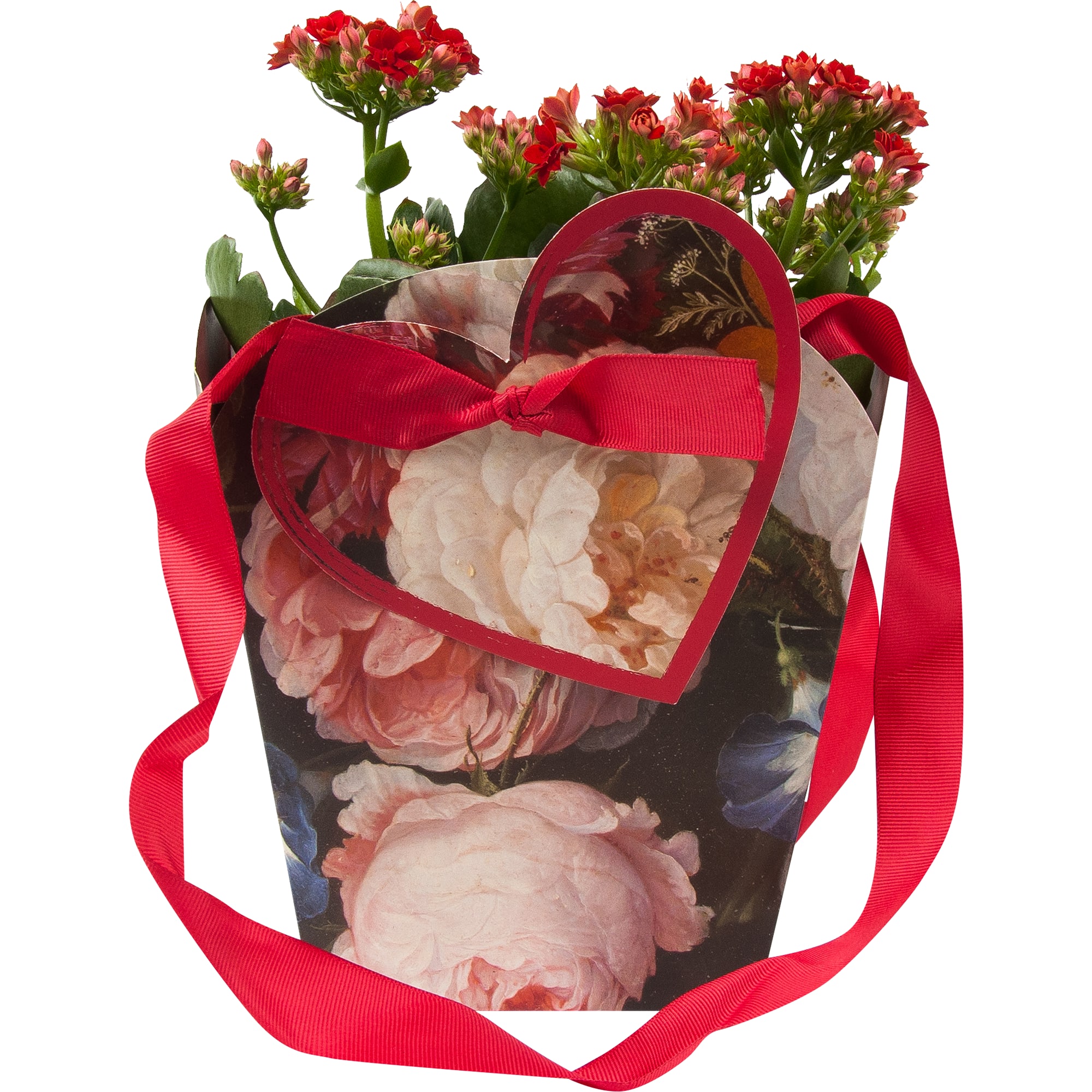 84450734 Каланхое Розалина подарок сумка ø15 h27.5 см Santreyd  - Вид №3