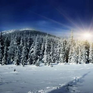 WP02456 Фотообои Verol Фотообои decoline 1х1 м