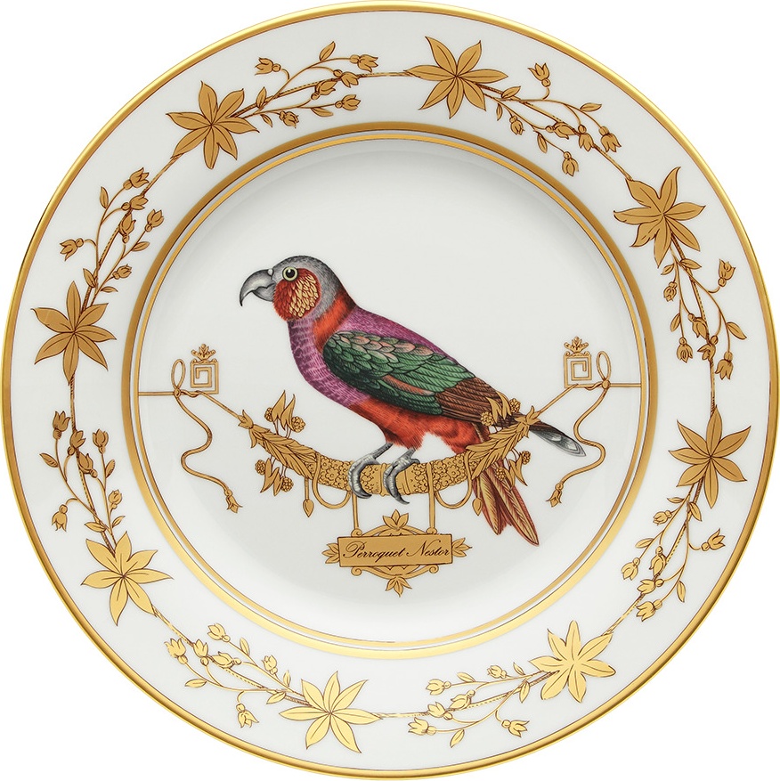 10647860 Richard Ginori Тарелка обеденная 26 см  Volie're Perroquet Nestor Фарфор 