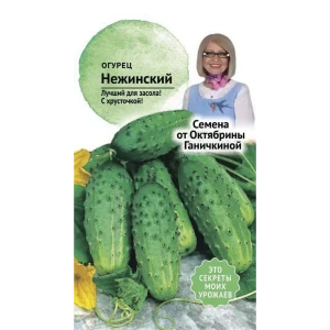 Семена Огурец «Нежинский» 83230063 STLM-2003041