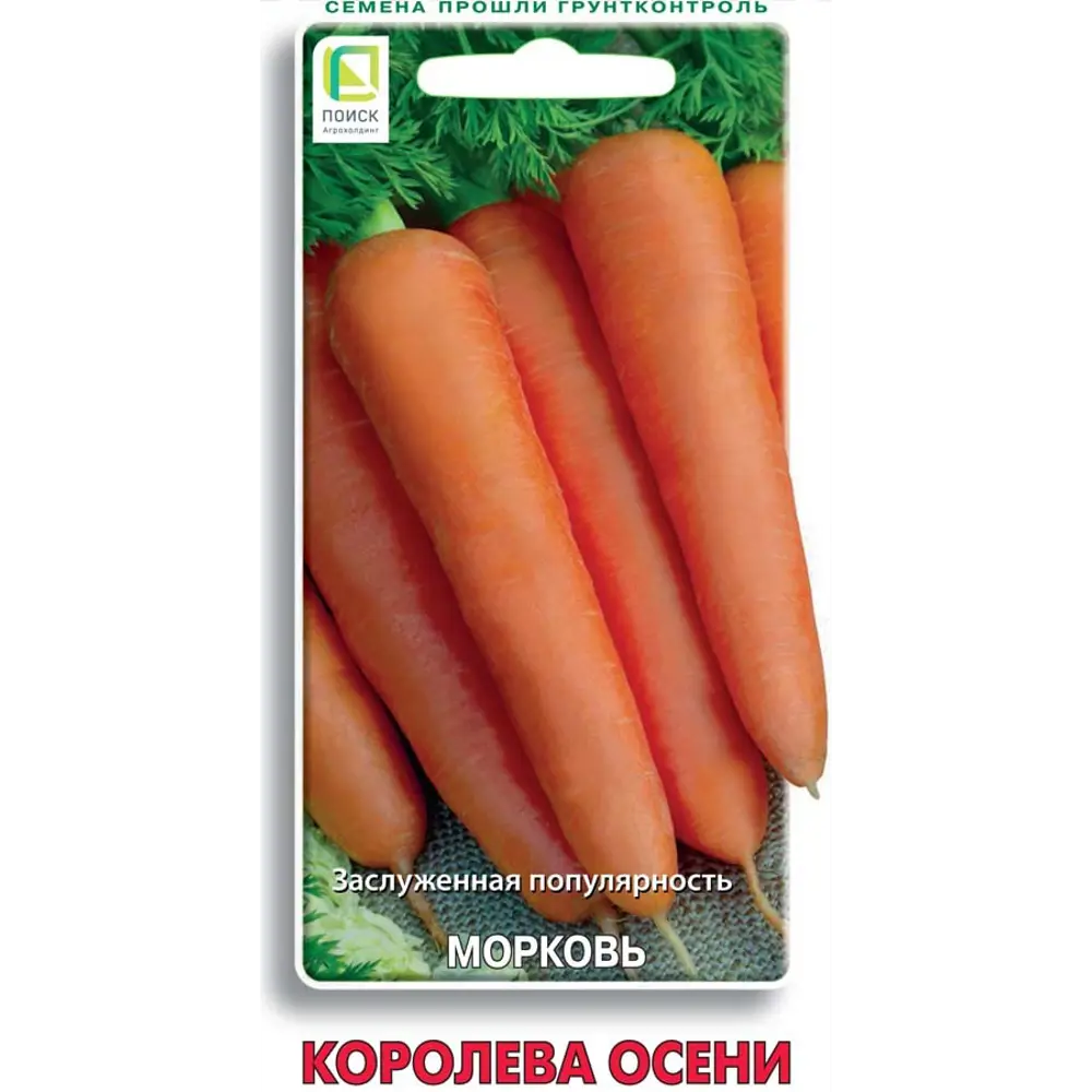 Семена моркови Королева осени ПОИСК 89401134 STLM-1566972