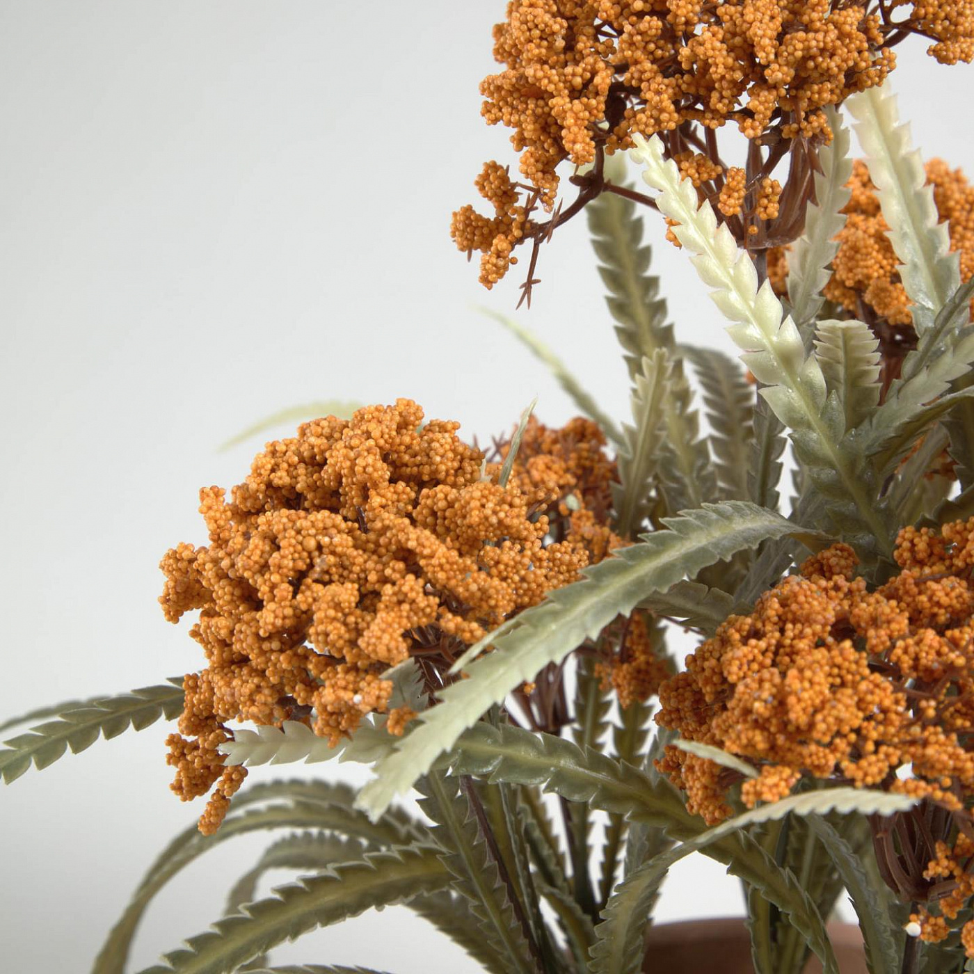 089925 Полевой цветок в керамическом горшке Flower La Forma Leonitis 