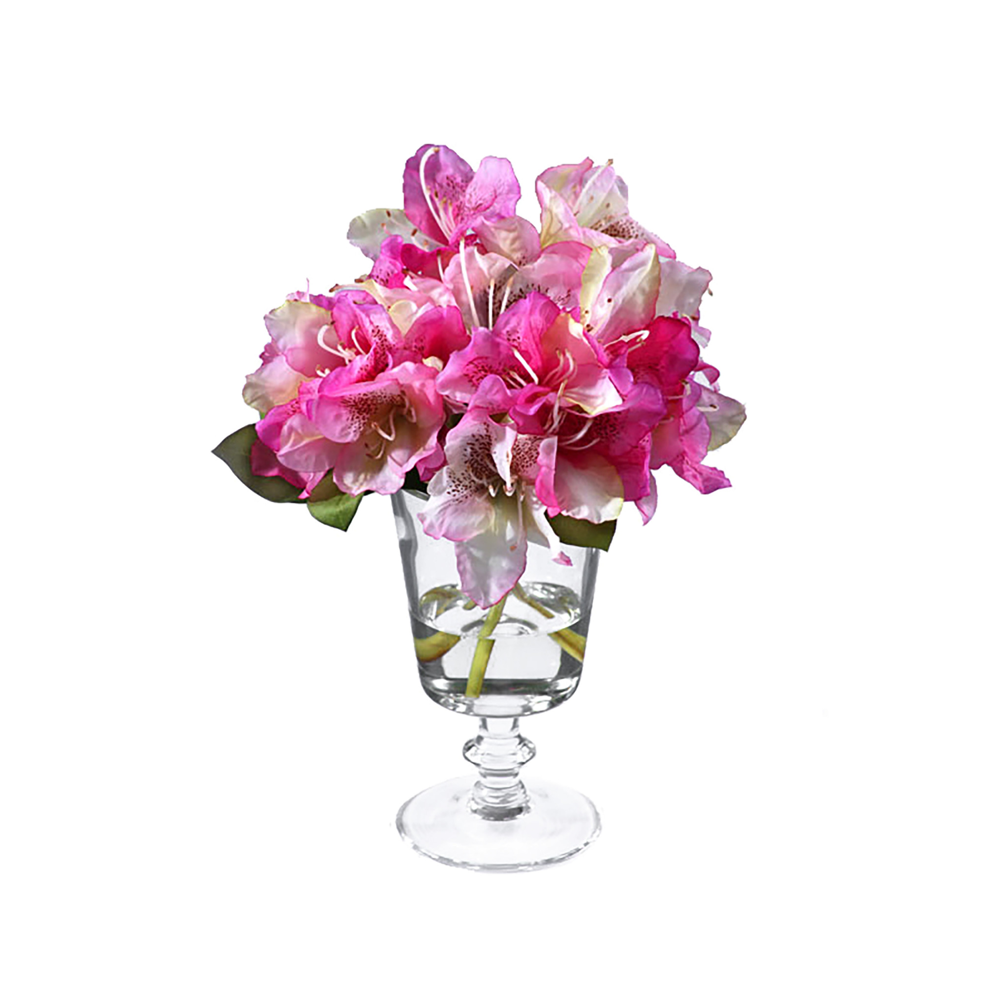 2000983229595 Композиция Рододендроны COSMO RED 