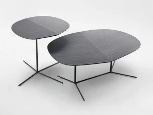 Paola Lenti Журнальный столик из стали и дерева