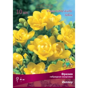 83597222 Фрезия гибридная махровая Йеллоу луковица 5/6 STLM-0957263