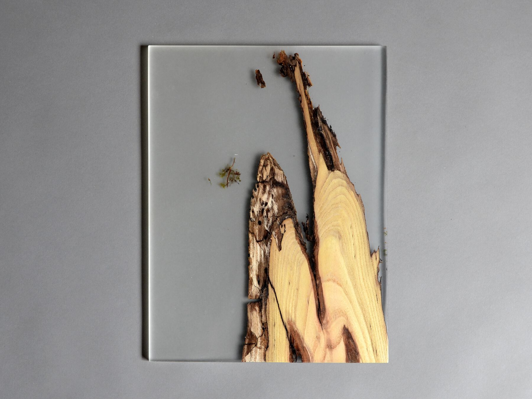 Рамка из массива дерева и смолы alcarol Undergrowth ARCH-00082208 - Вид №5