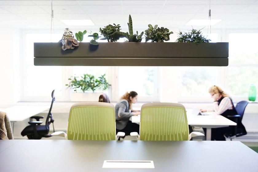 Greenworks Подвесной светильник / ваза sun-id-1381947 - Вид №1