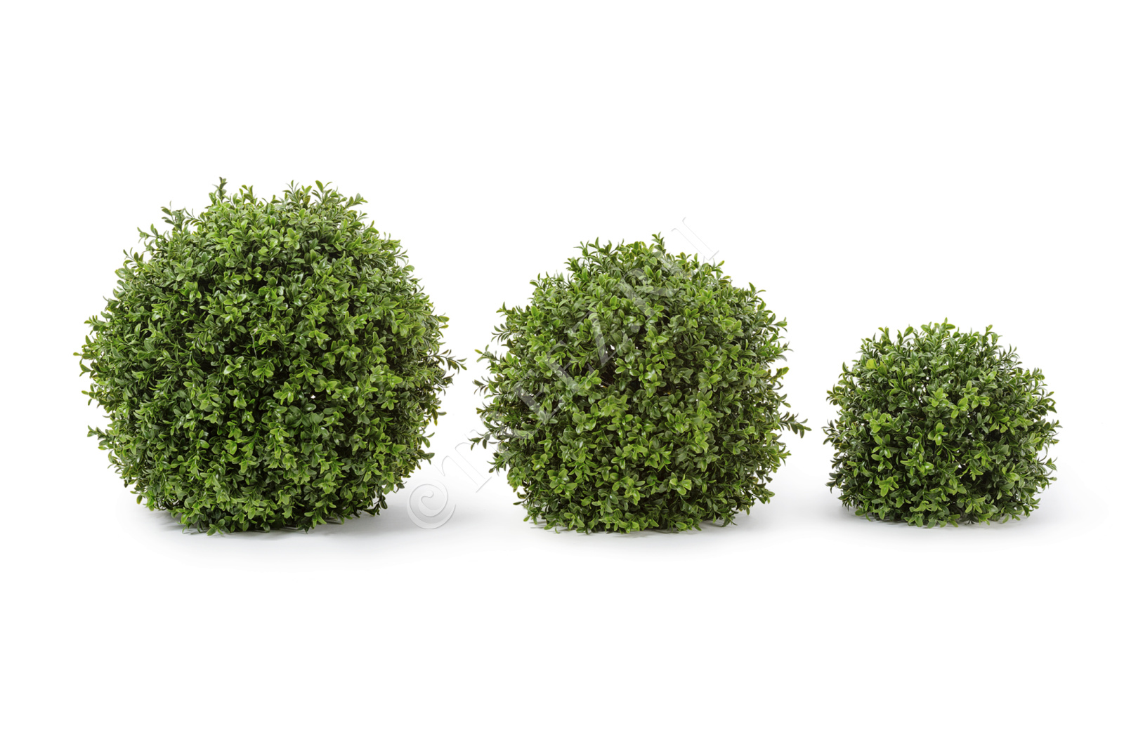 10.44640N Самшитовый шар (Декор) Цветочная коллекция 