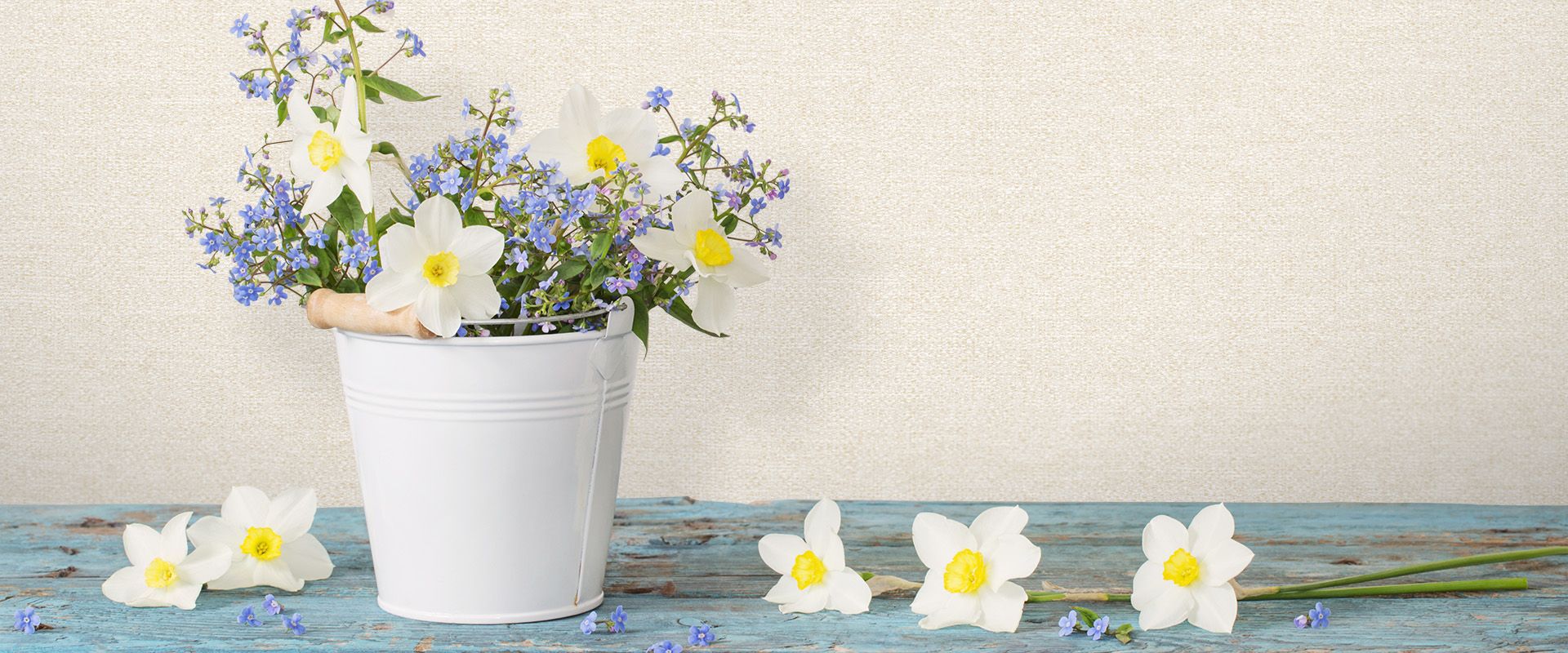 Victoria Stenova 88206 Фон NEZABUDKA 88206  - Вид №1