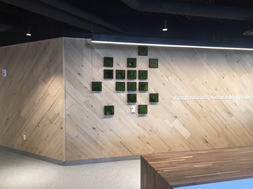 FINIUM Облицовка дубом Onata sun-id-1447164 - Вид №2