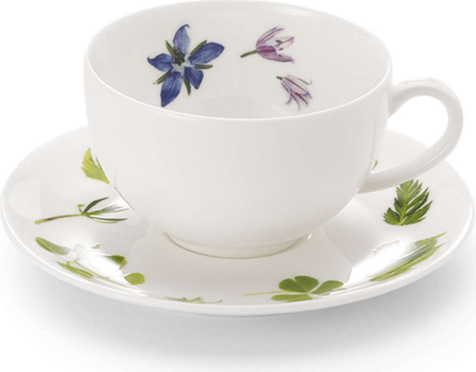 10639958 Dibbern Чашка для эспрессо Dibbern "Дикие травы" 110мл Фарфор 