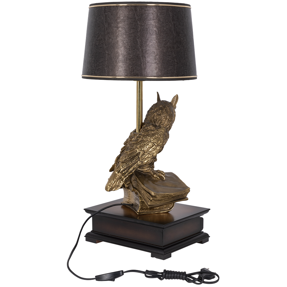 33006/1,34057 Настольная лампа с бюро Ученый Филин Тюссо Игуана Шоколад BOGACHO 4627138211540, 4627138151105 - Вид №1